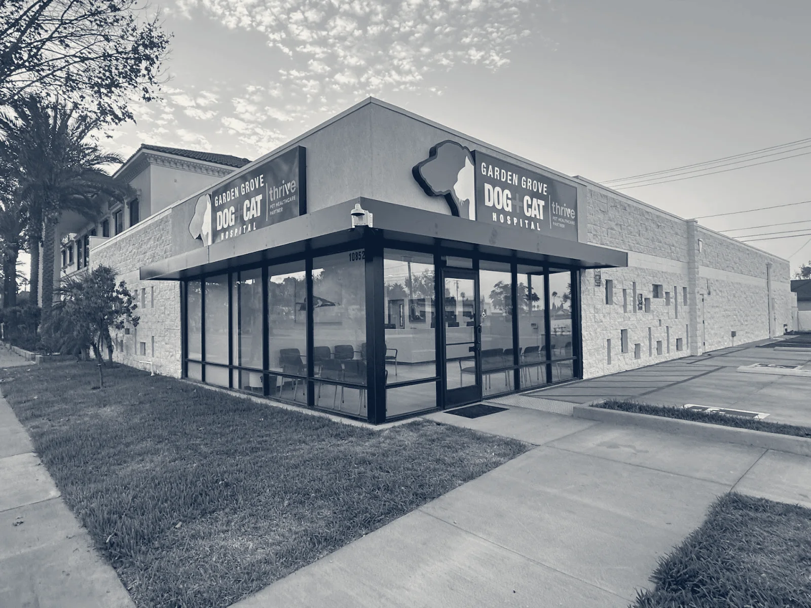 Garden Grove Dog and Cat Hospital — Garden Grove, California