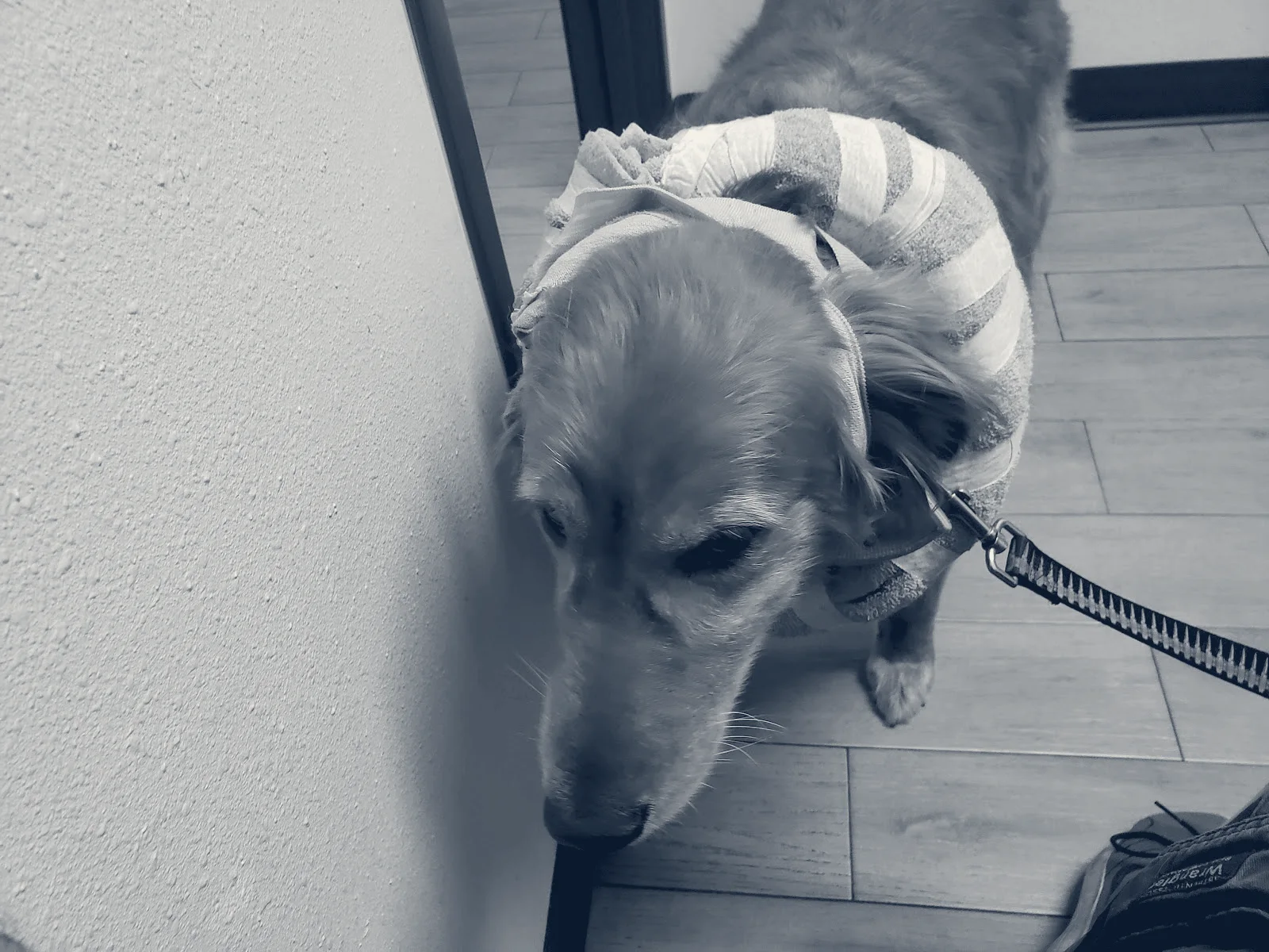Riverdale Animal Hospital — Orange, California