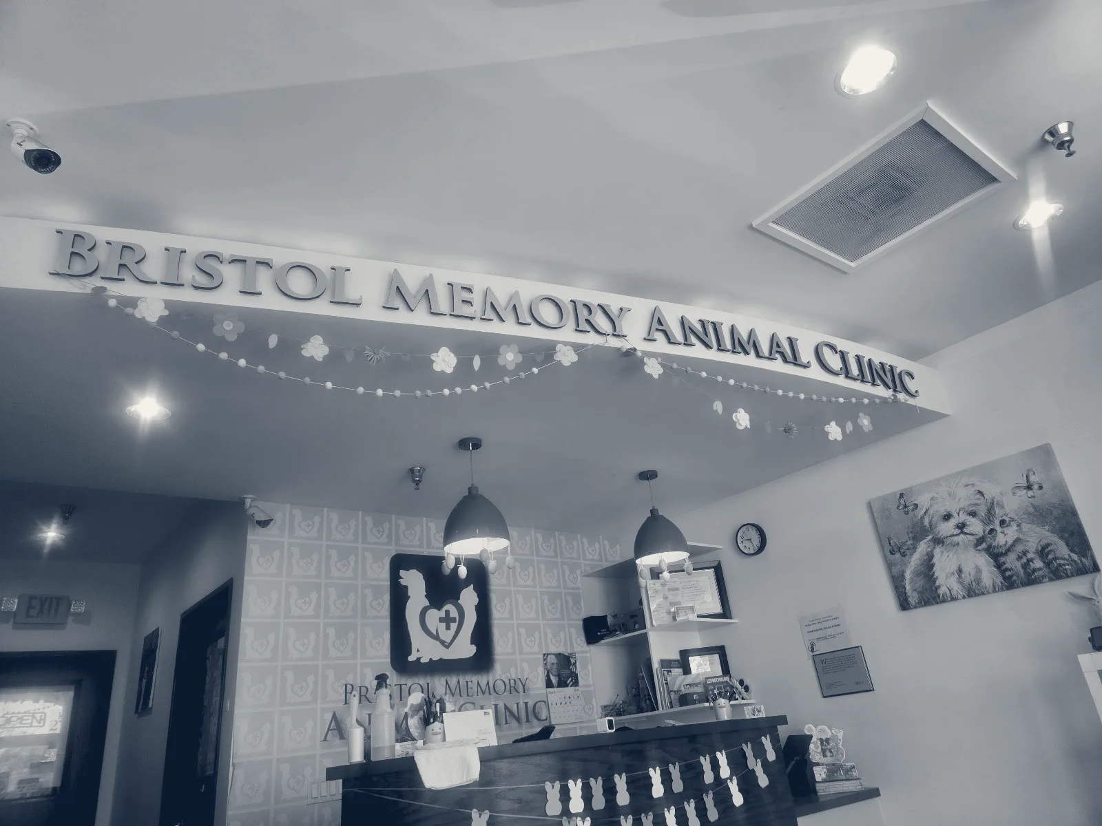 Bristol Memory Animal Clinic — Santa Ana, California