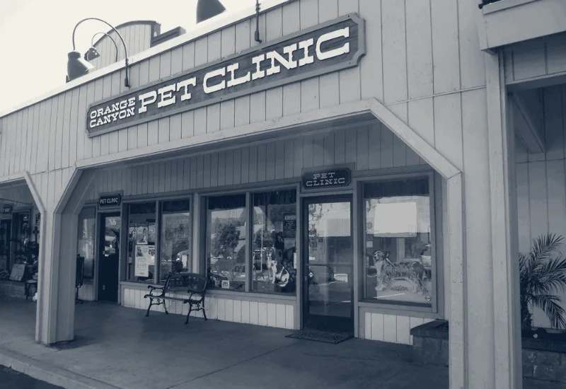 Orange Canyon Pet Clinic — Orange, California