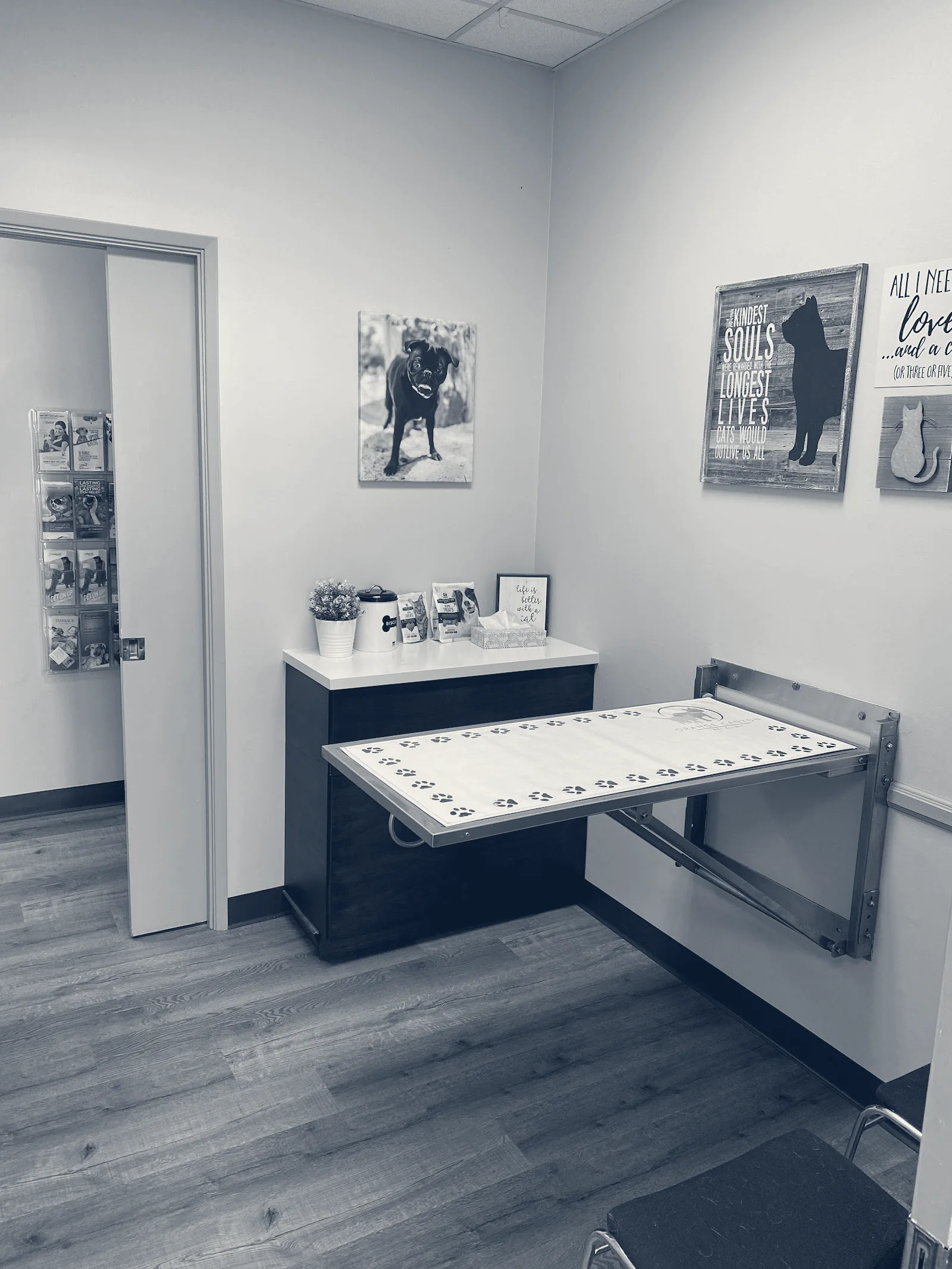 Orange Canyon Pet Clinic — Orange, California
