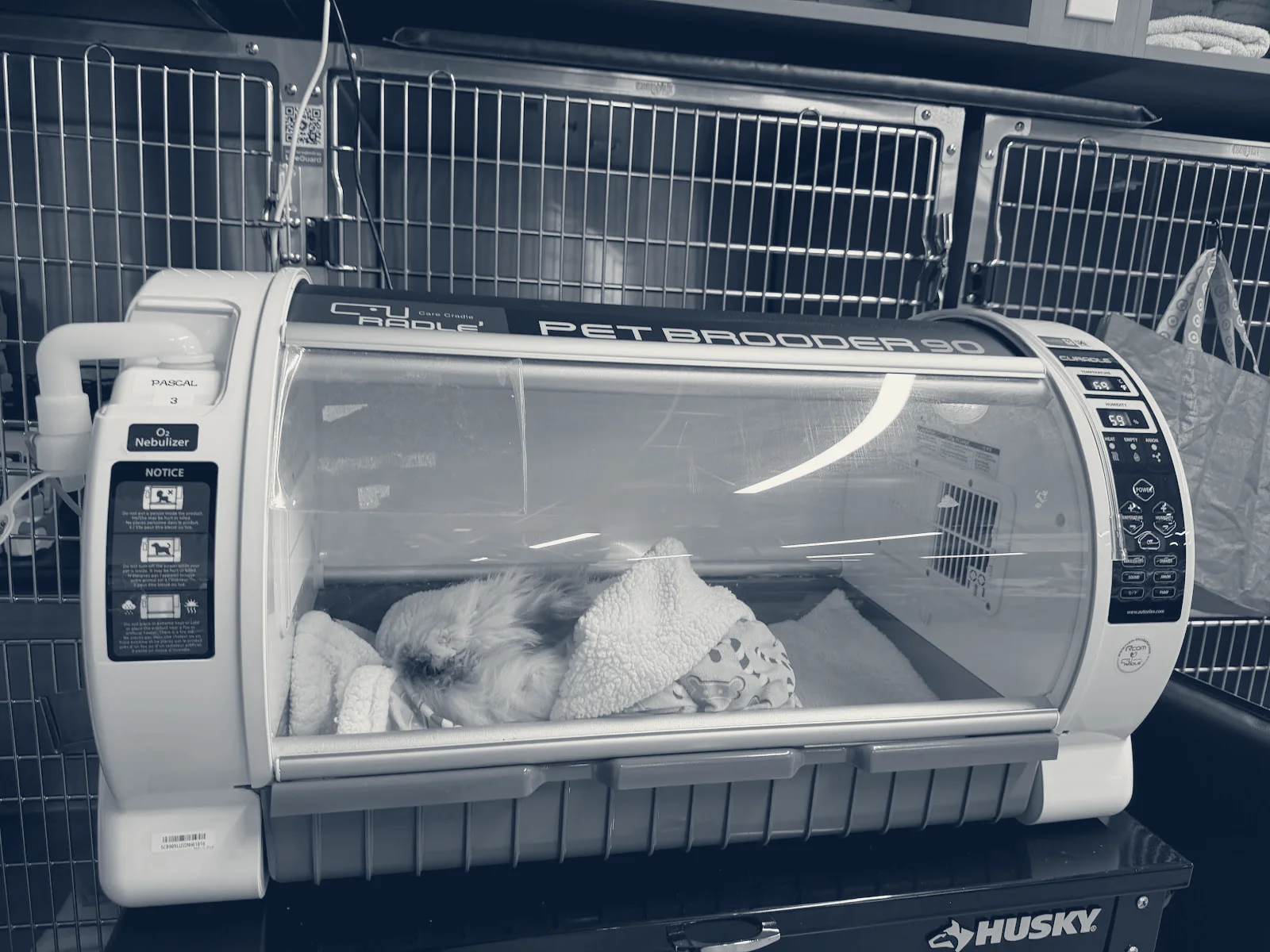 VEG ER for Pets — Anaheim, California