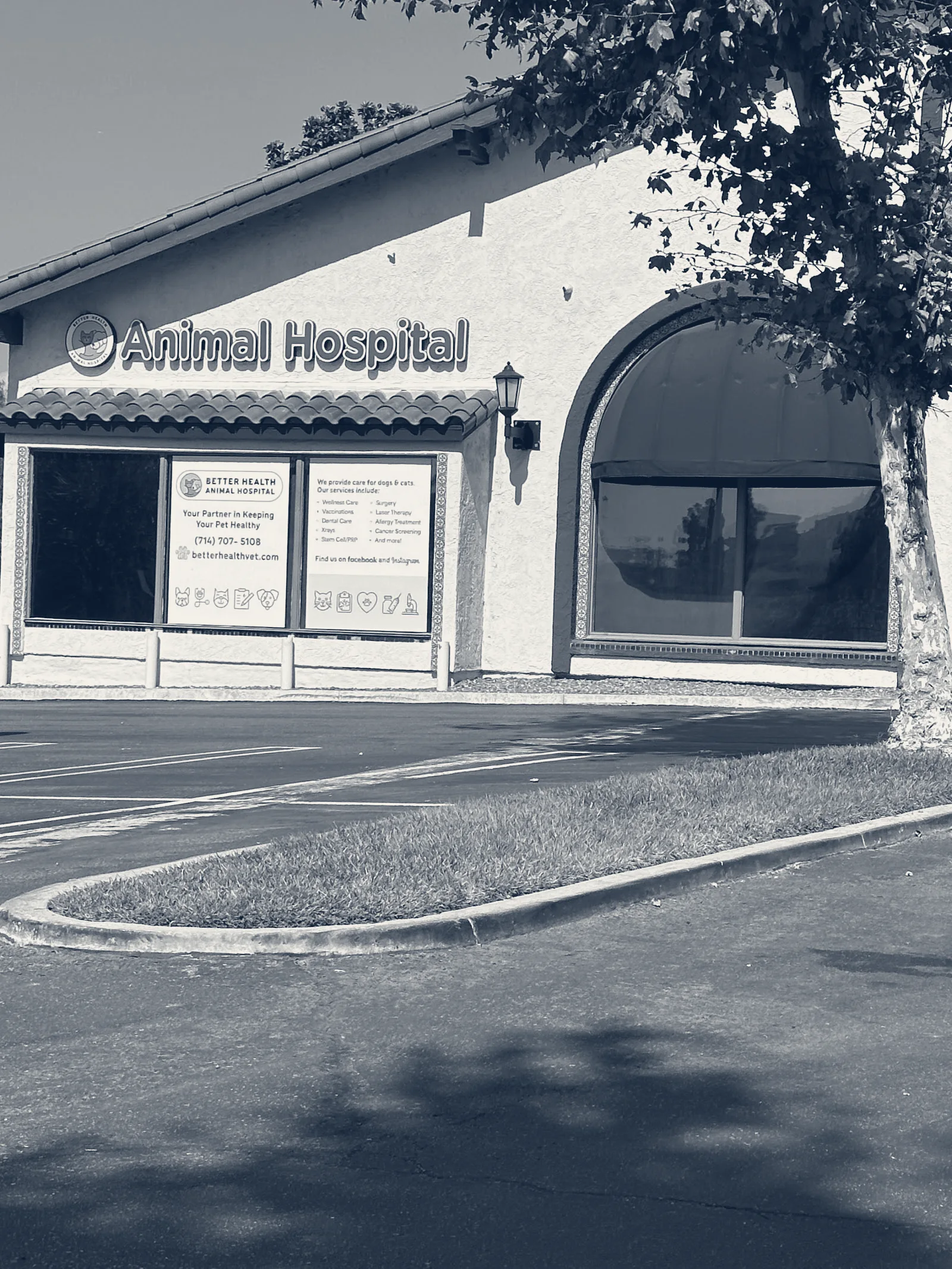 Better Health Animal Hospital — Anaheim, California