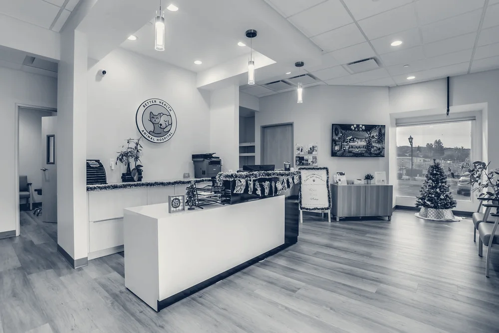 Better Health Animal Hospital — Anaheim, California
