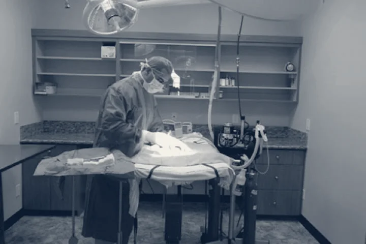 Magnolia Animal Hospital — Westminster, California