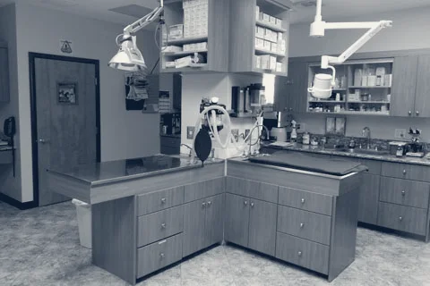 Magnolia Animal Hospital — Westminster, California