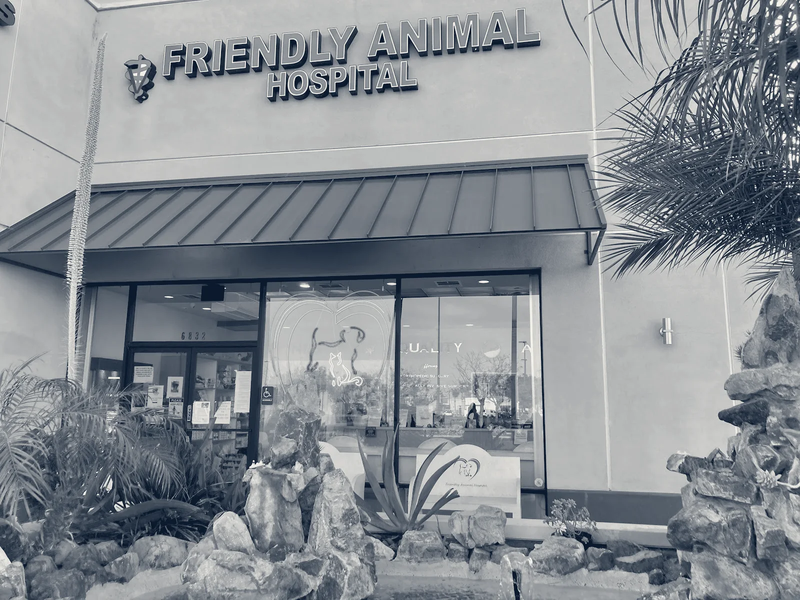 Friendly Animal Hospital — Huntington Beach, California