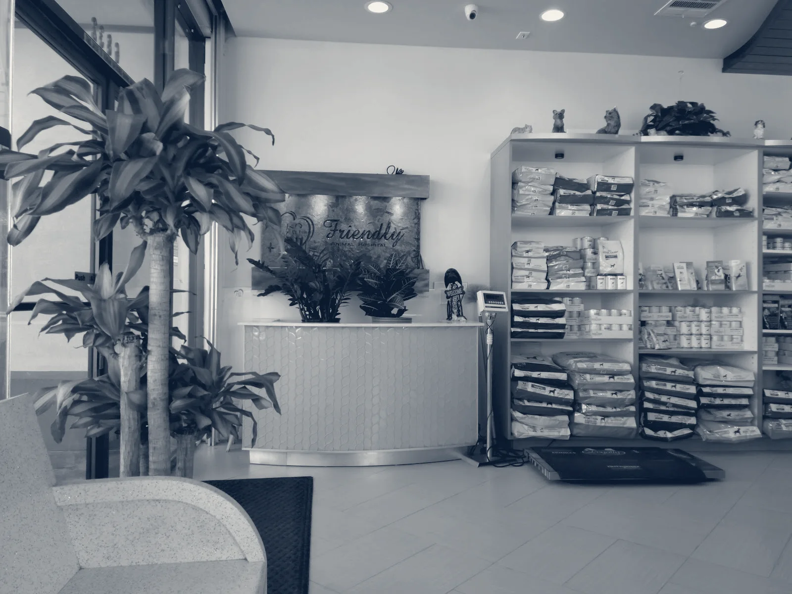 Friendly Animal Hospital — Huntington Beach, California