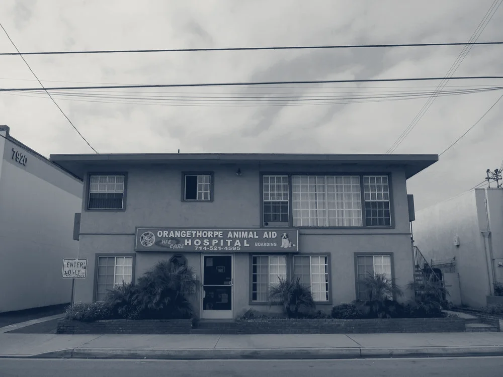 The Animal Doctors of Buena Park — Buena Park, California