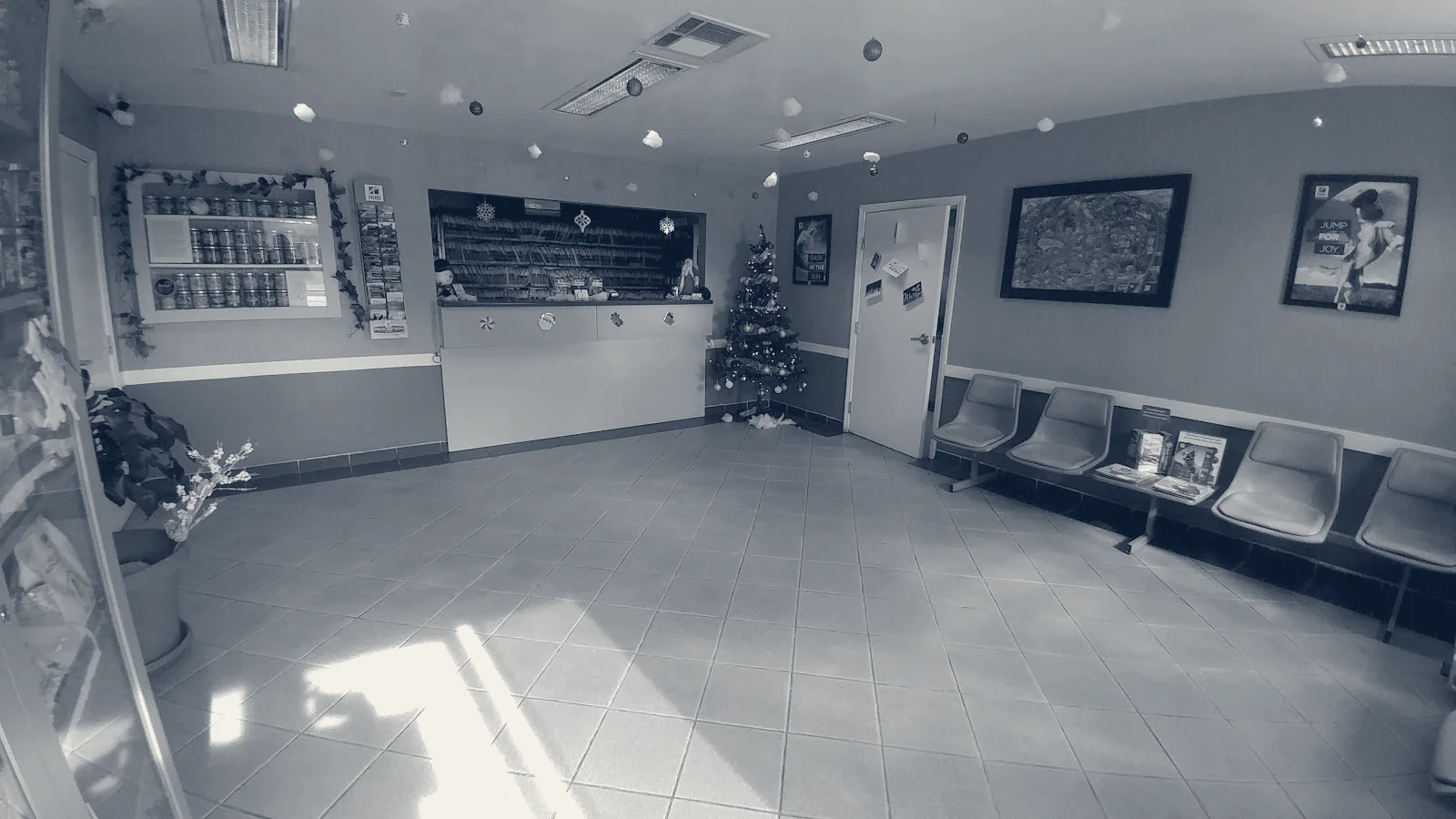 Airport Animal Hospital — Fullerton, California