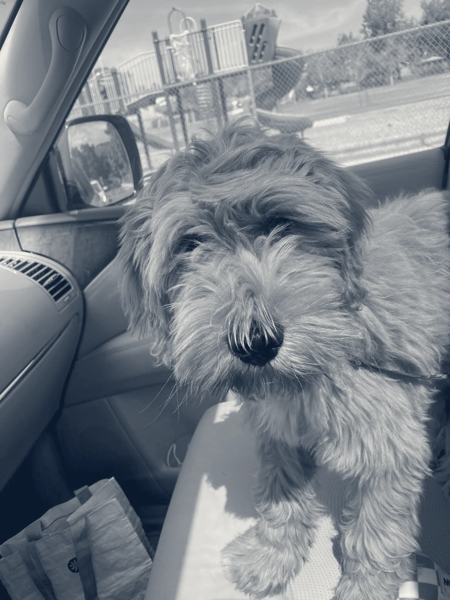 Airport Animal Hospital — Fullerton, California