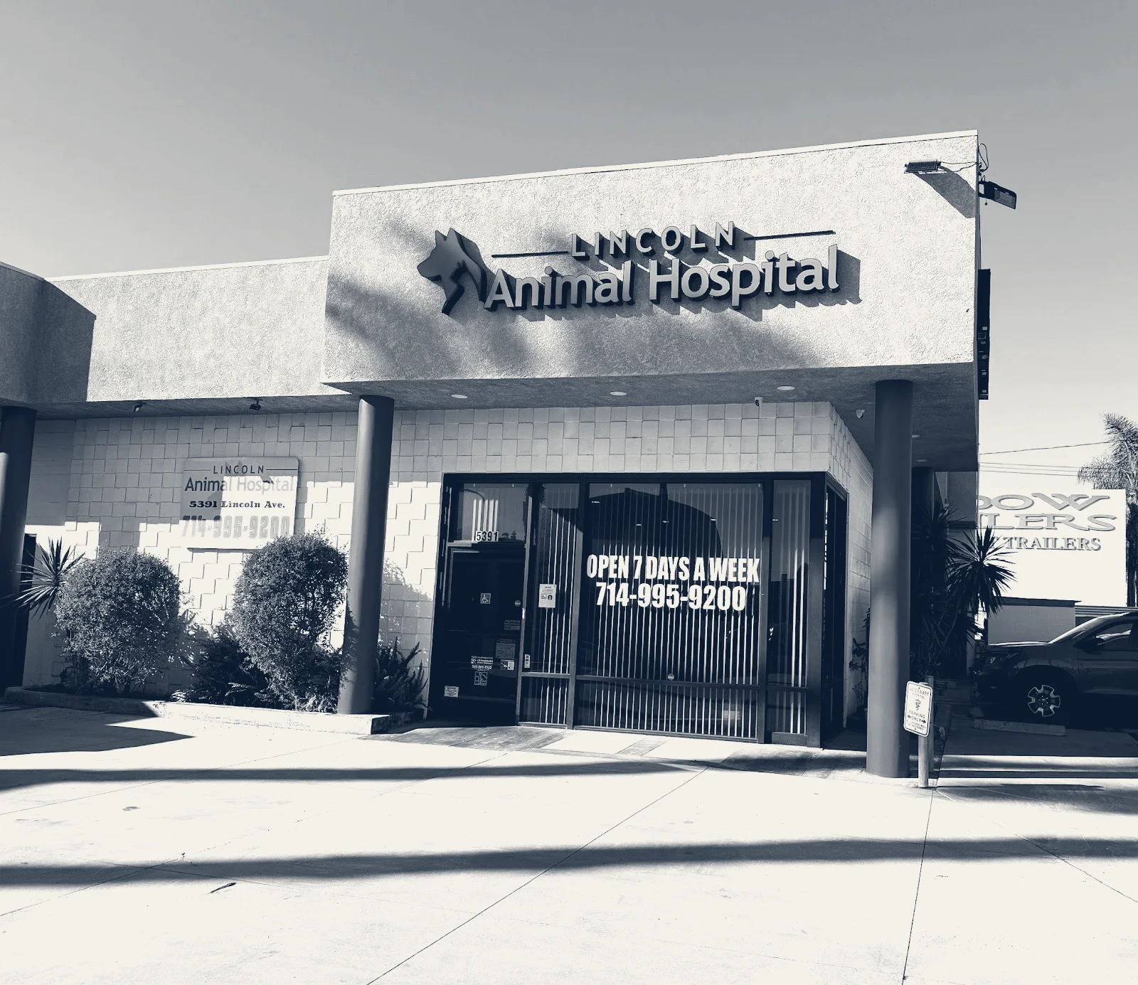 Lincoln Animal Hospital — Cypress, California