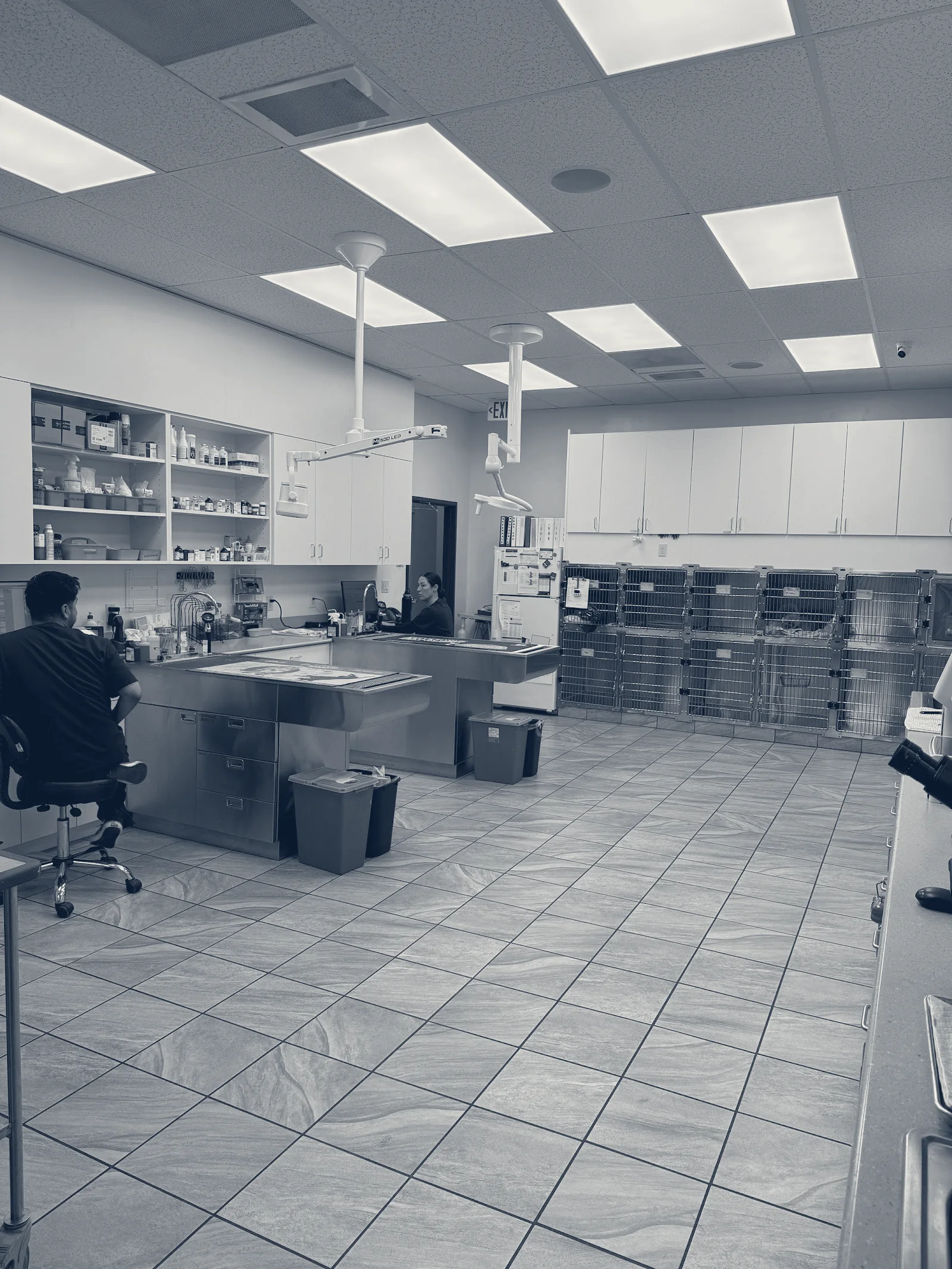 Lincoln Animal Hospital — Cypress, California
