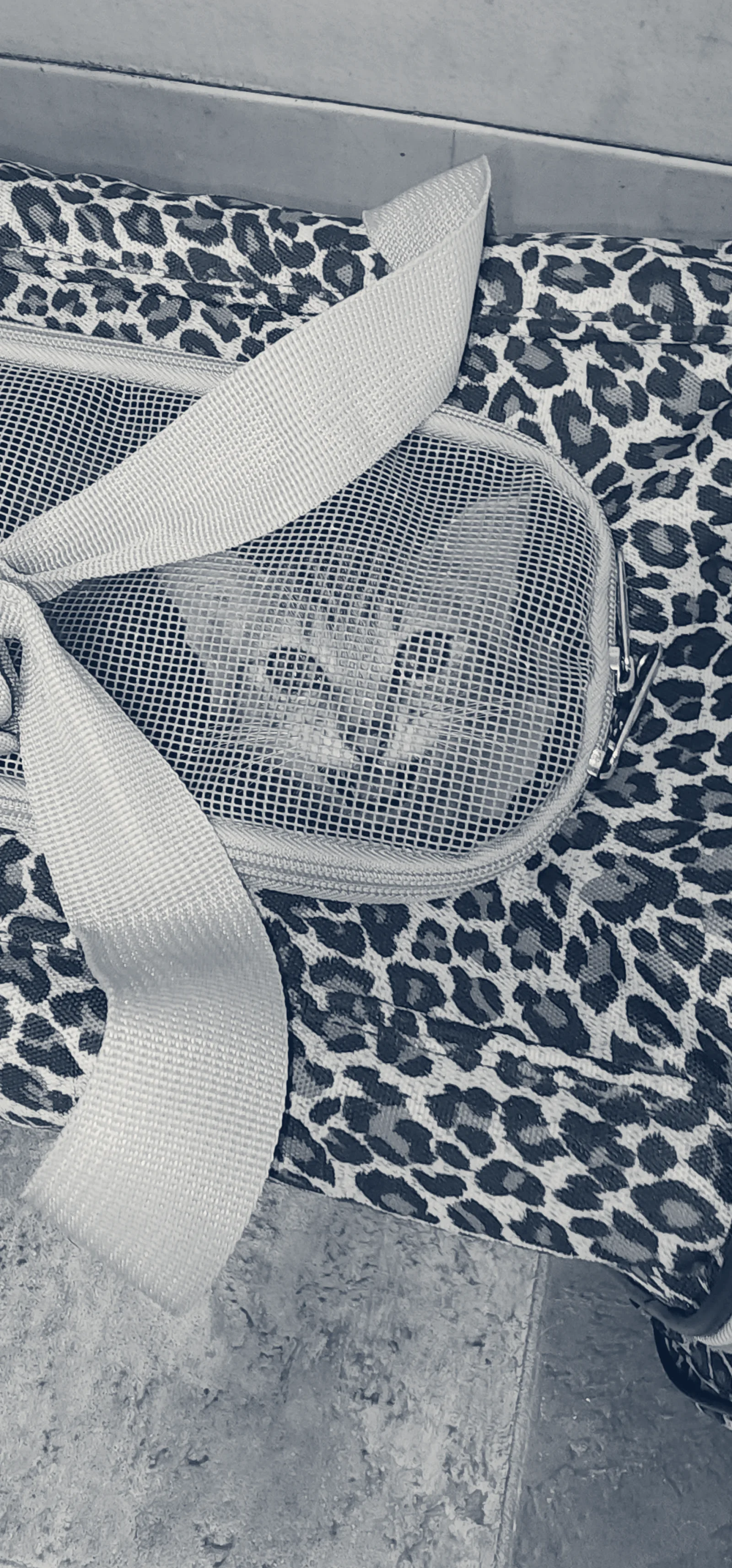 Brookhaven Pet Hospital — Garden Grove, California