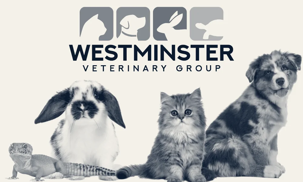 Westminster Veterinary Group — Westminster, California