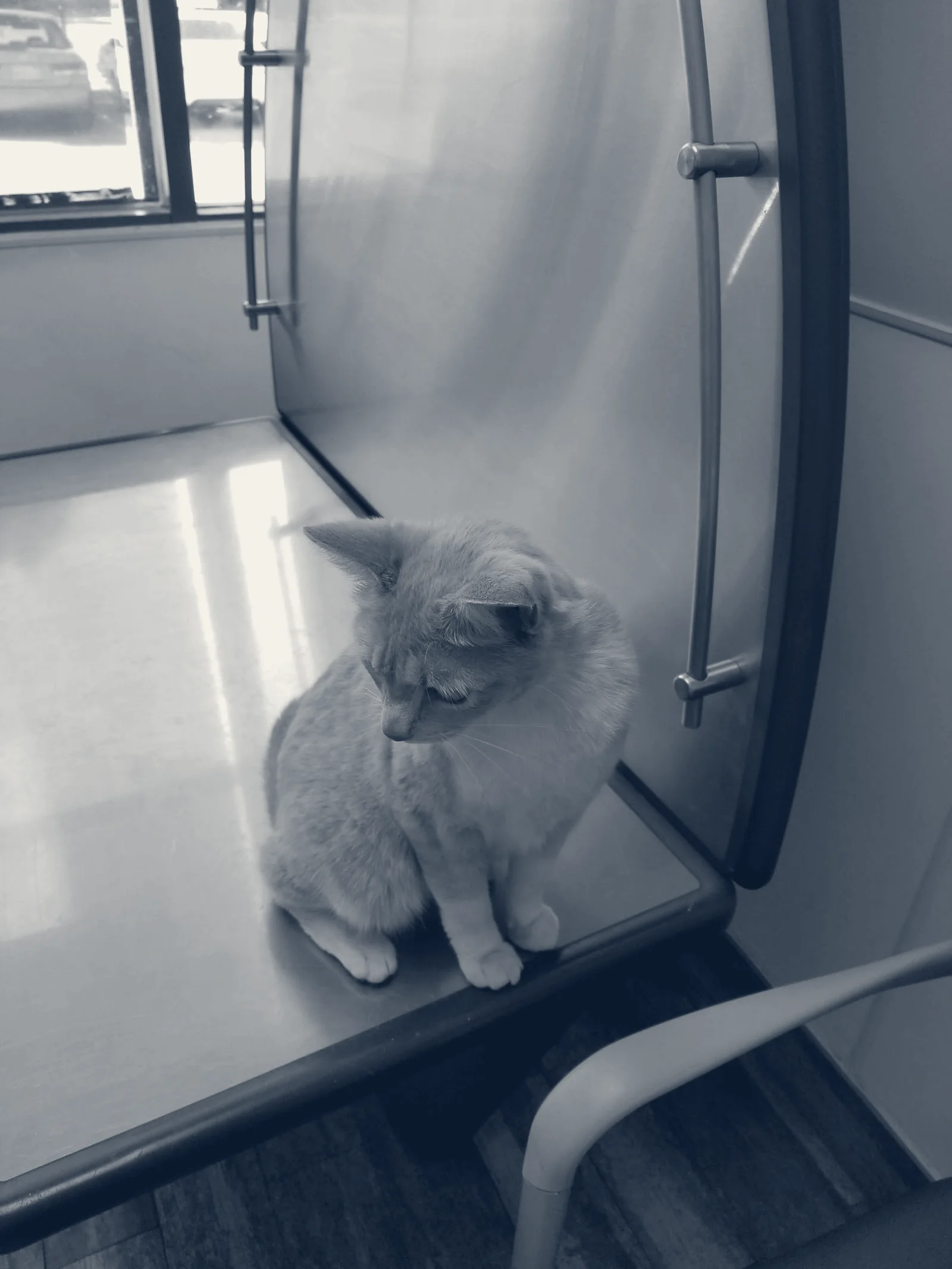 Alona Animal Hospital — Santa Ana, California