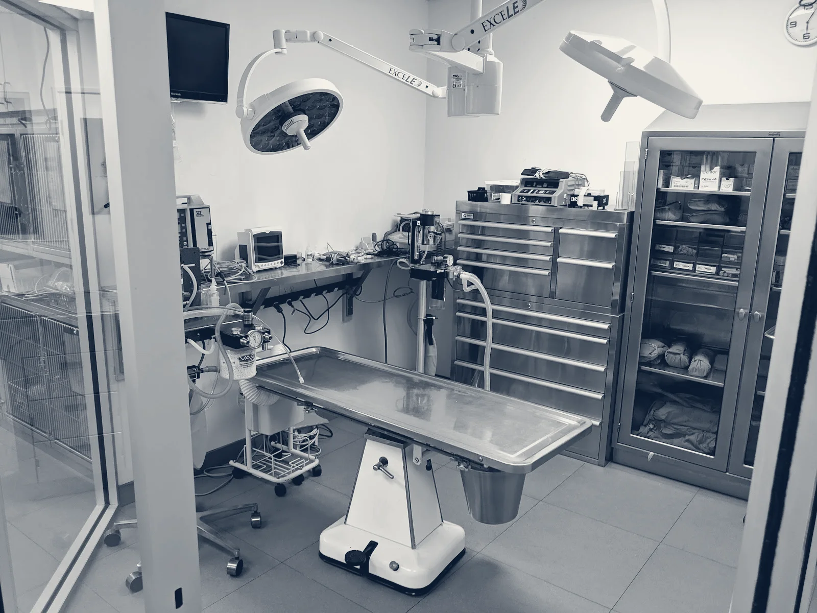 Alona Animal Hospital — Santa Ana, California