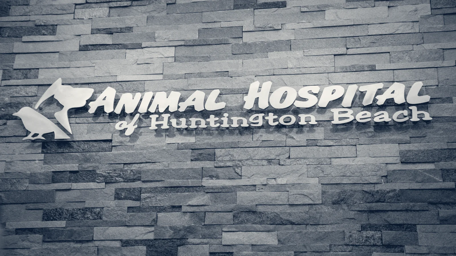 Animal Hospital of Huntington Beach — Huntington Beach, California