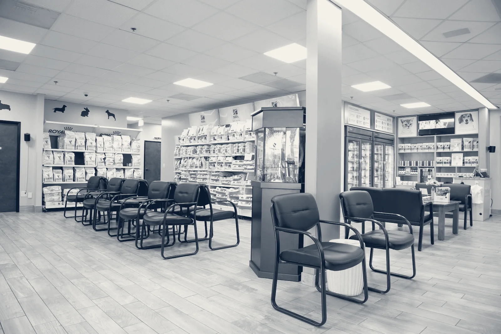 Animal Hospital of Huntington Beach — Huntington Beach, California