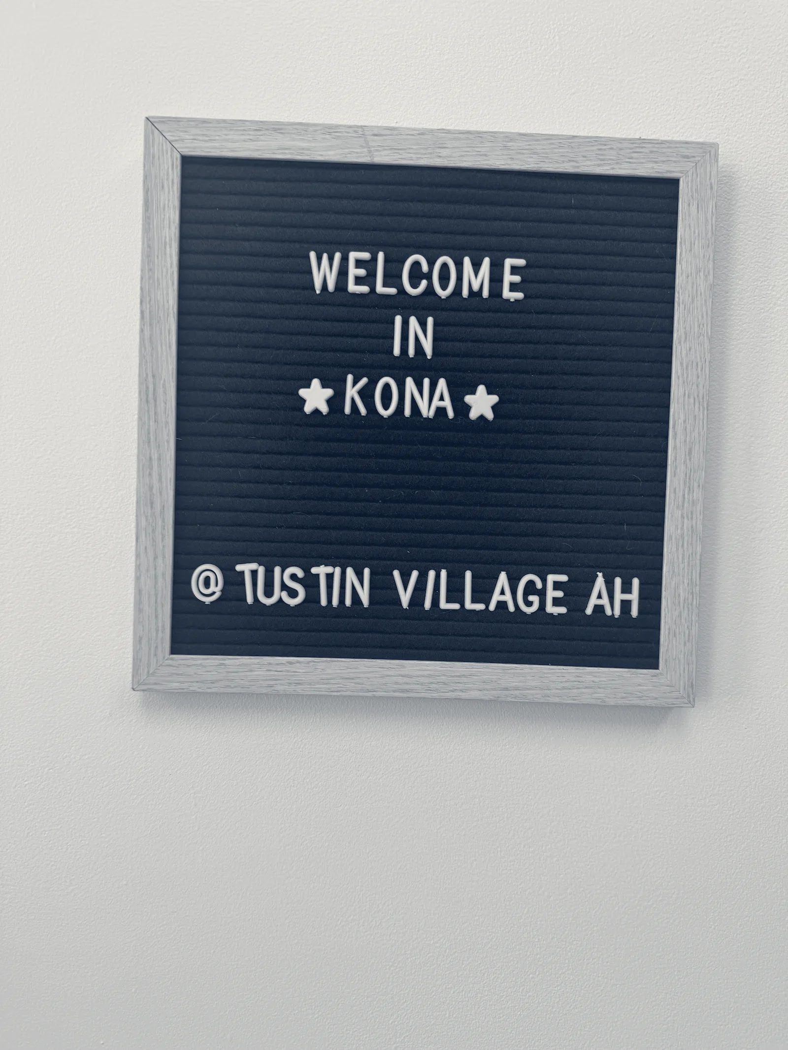 Tustin Village Animal Hospital — Tustin, California