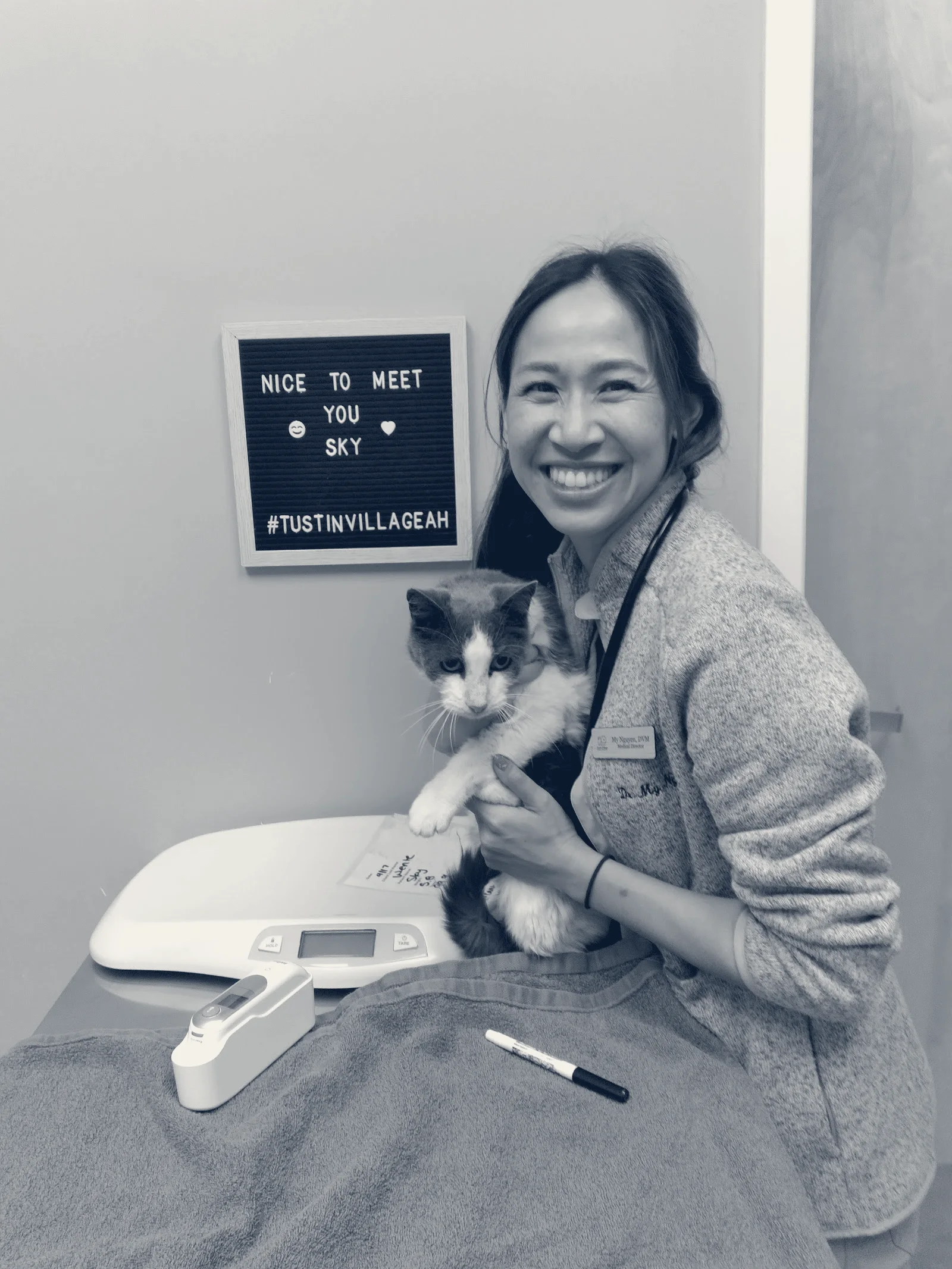 Tustin Village Animal Hospital — Tustin, California