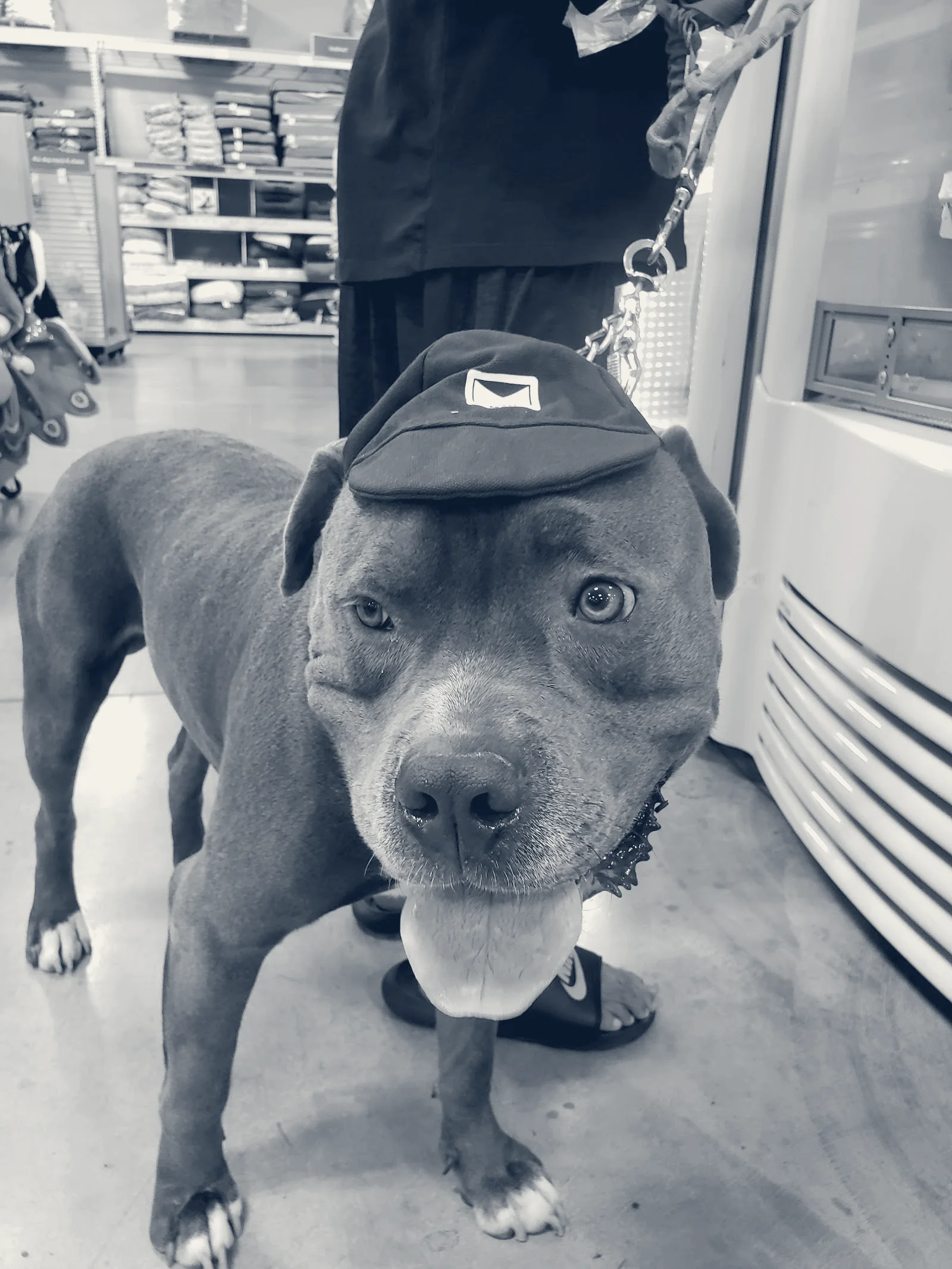 Banfield Pet Hospital — Santa Ana, California