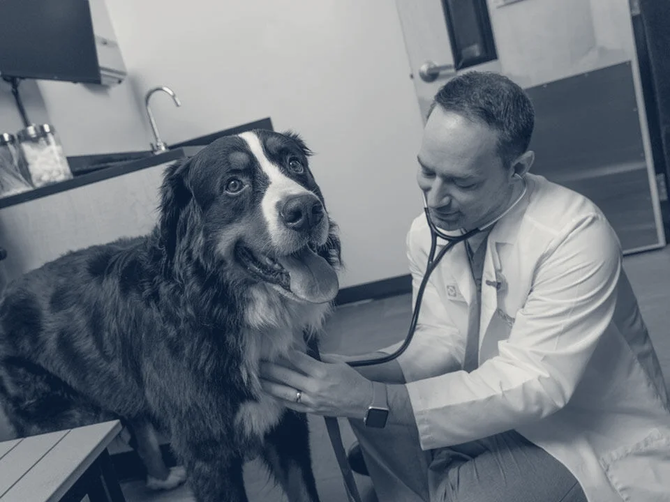 Banfield Pet Hospital — Costa Mesa, California