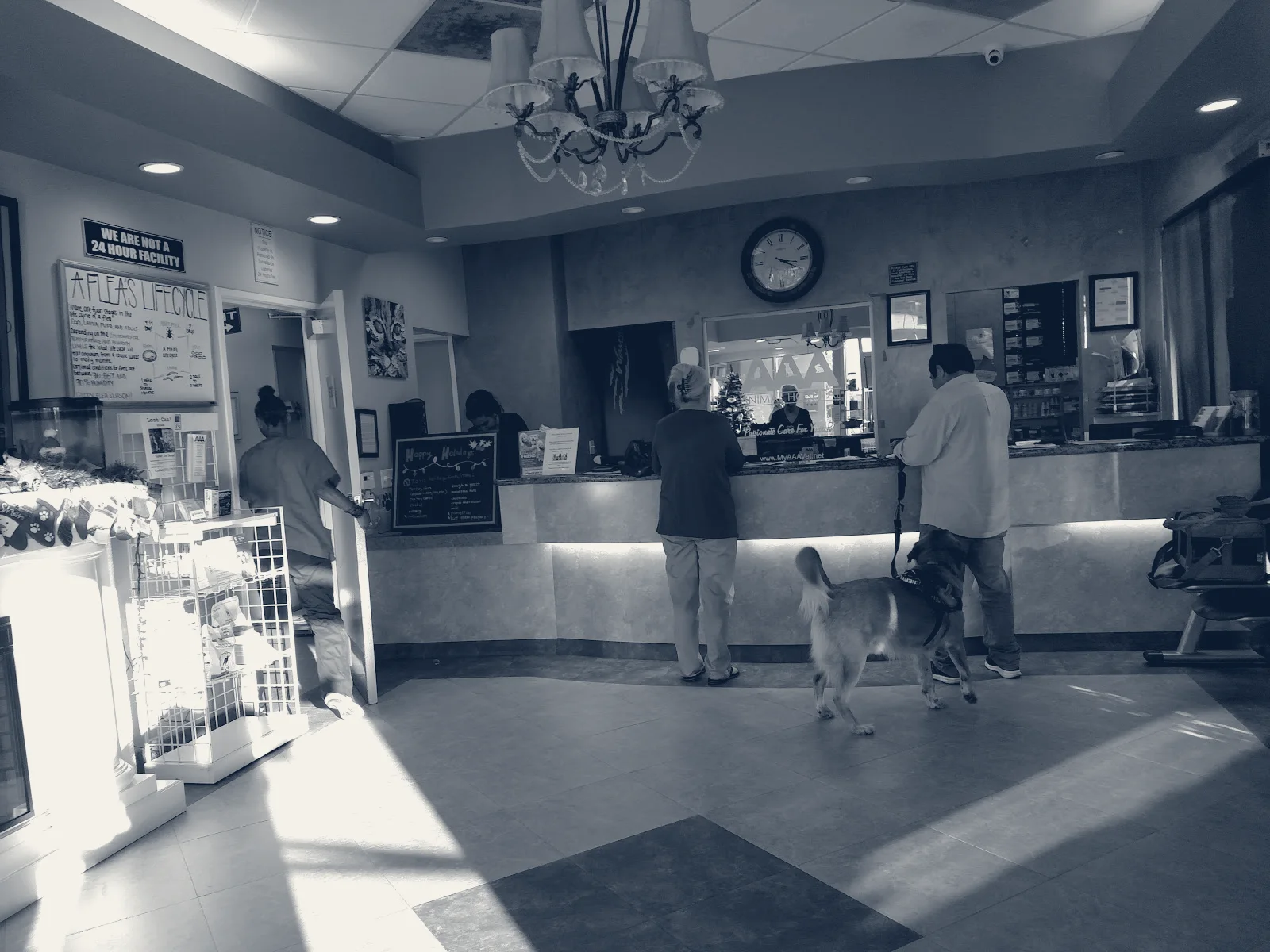 AAA Animal Hospital — Huntington Beach, California