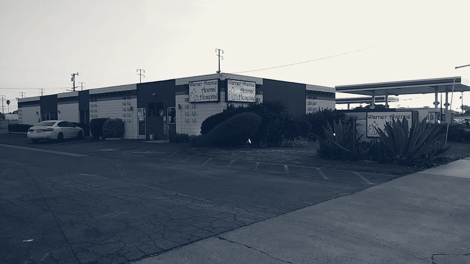 Warner Avenue Animal Hospital — Fountain Valley, California