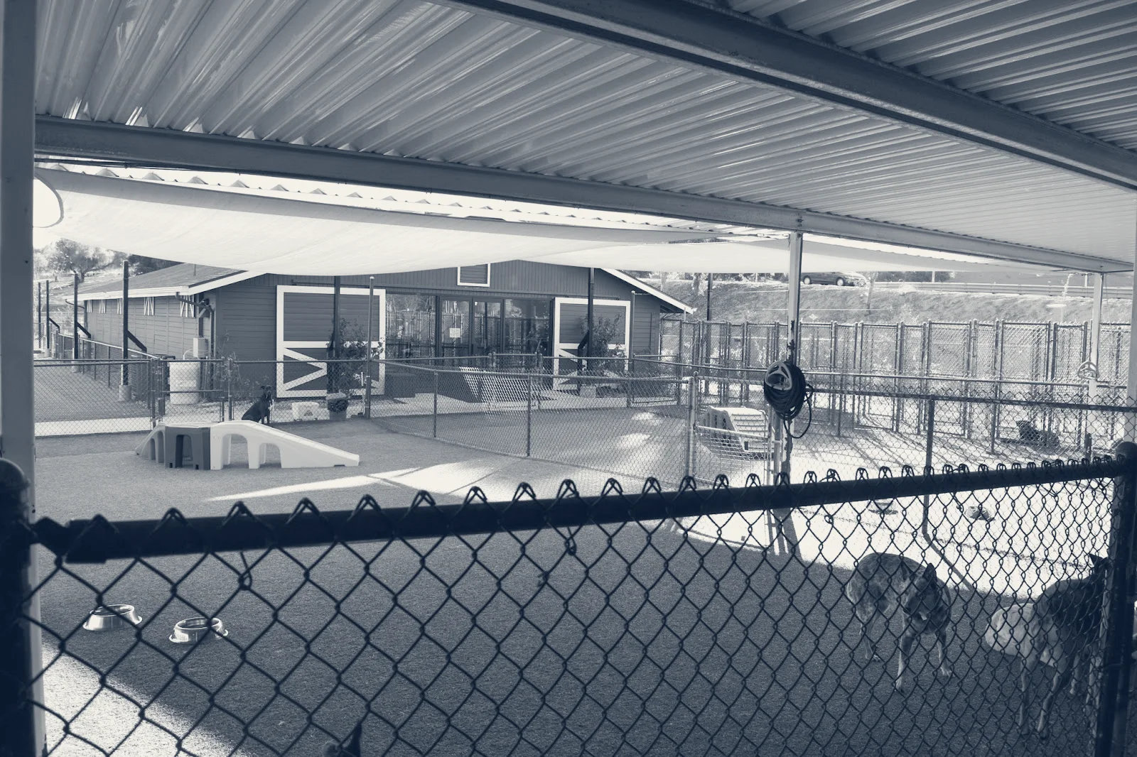 Chino Hills Animal Hospital & Pet Resort — Chino, California