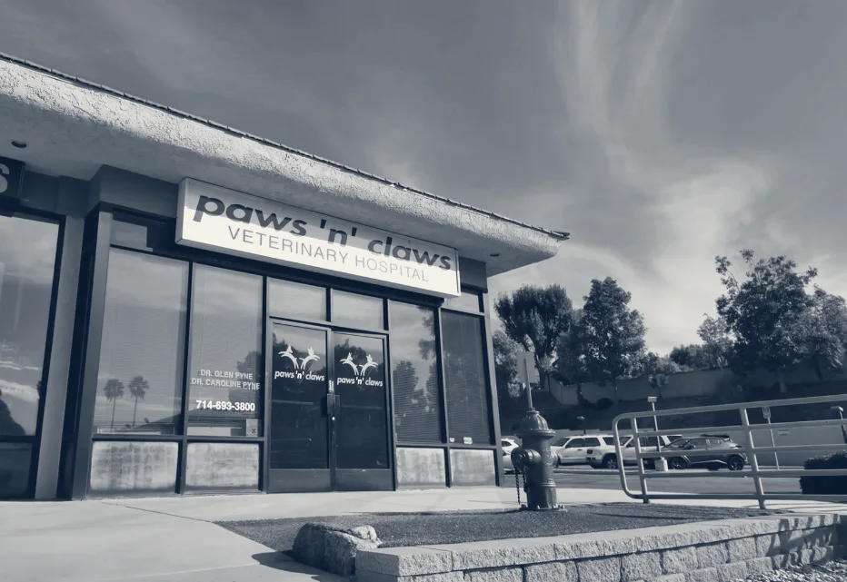 Paws N Claws Veterinary Hospital — Yorba Linda, California