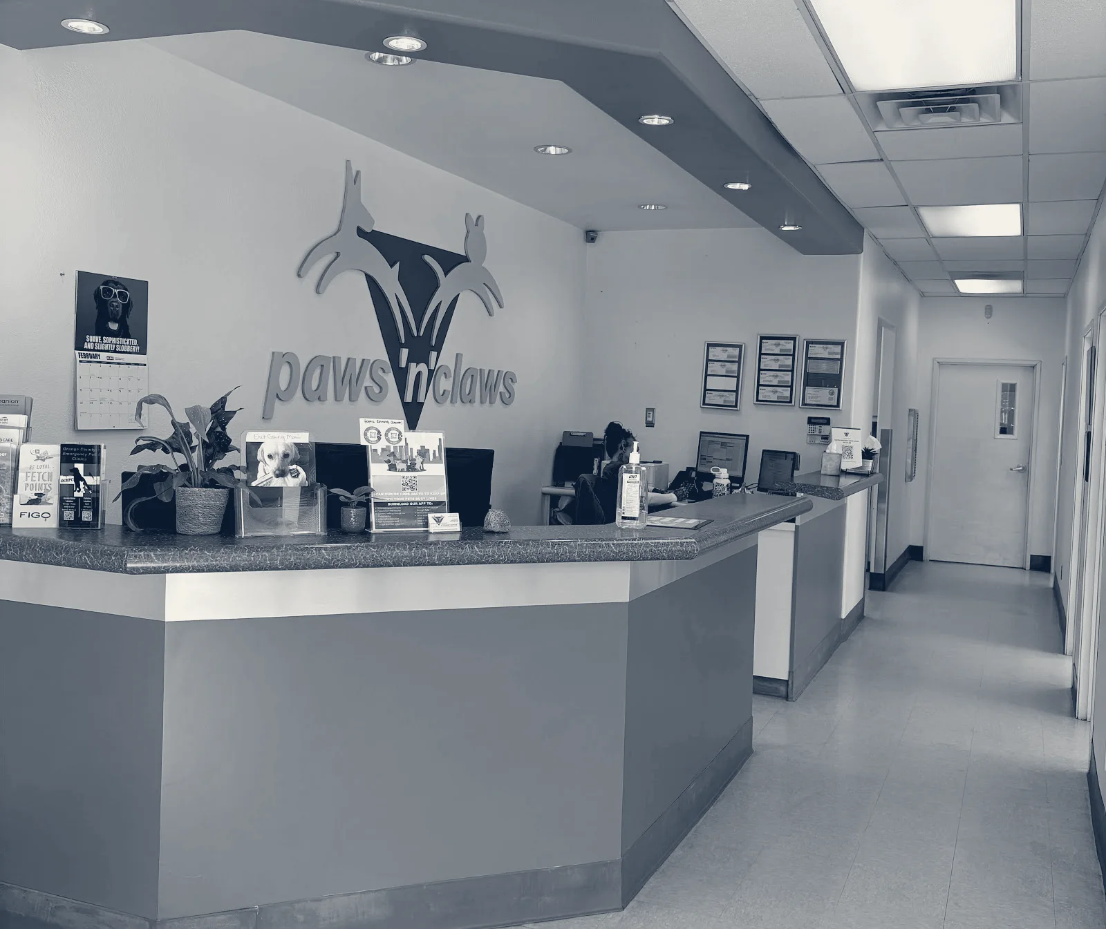 Paws N Claws Veterinary Hospital — Yorba Linda, California