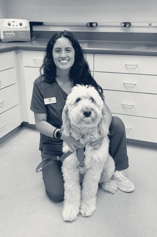 Paws N Claws Veterinary Hospital — Yorba Linda, California