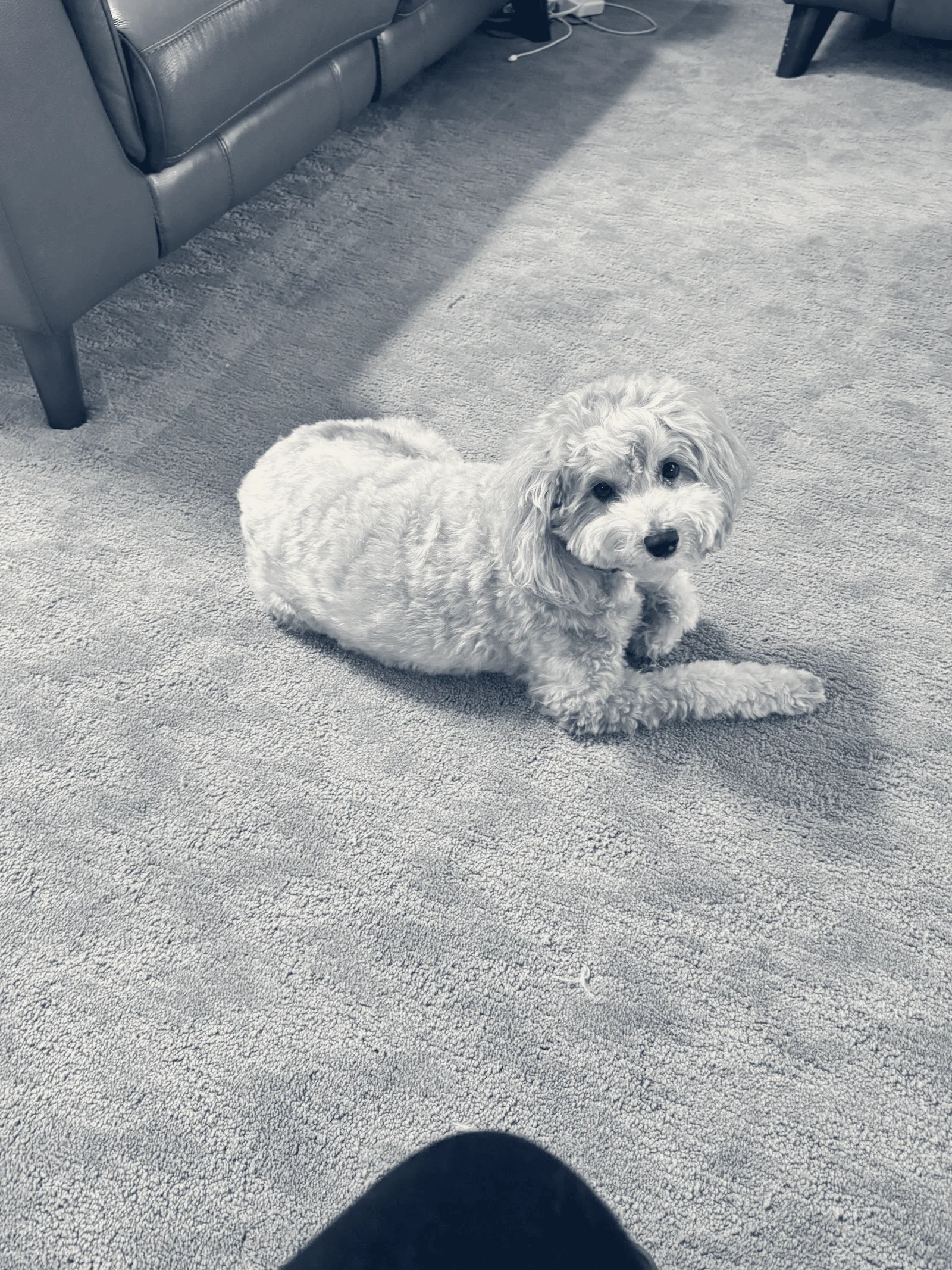 Stonecreek Animal Hospital — Irvine, California