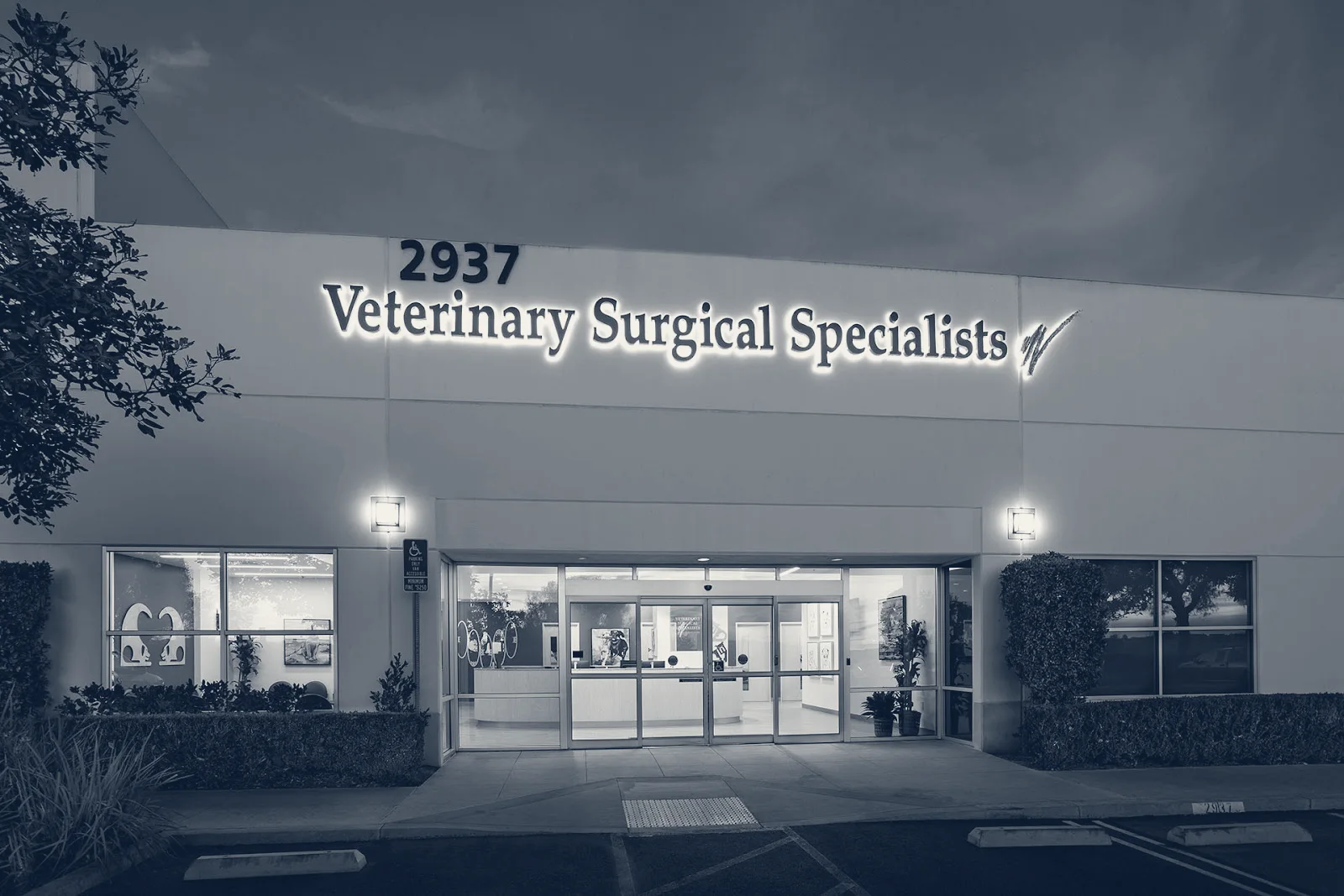 Veterinary Surgical Specialists — Tustin, California