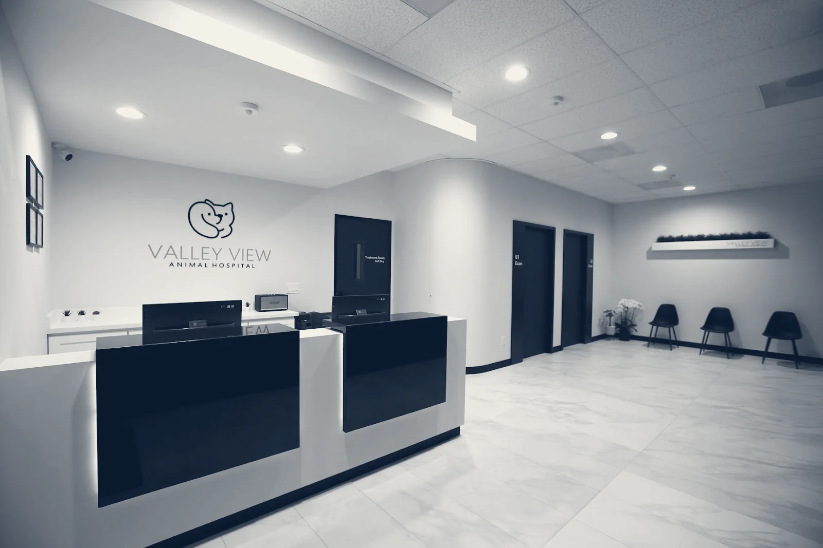 Valley View Animal Hospital — La Palma, California