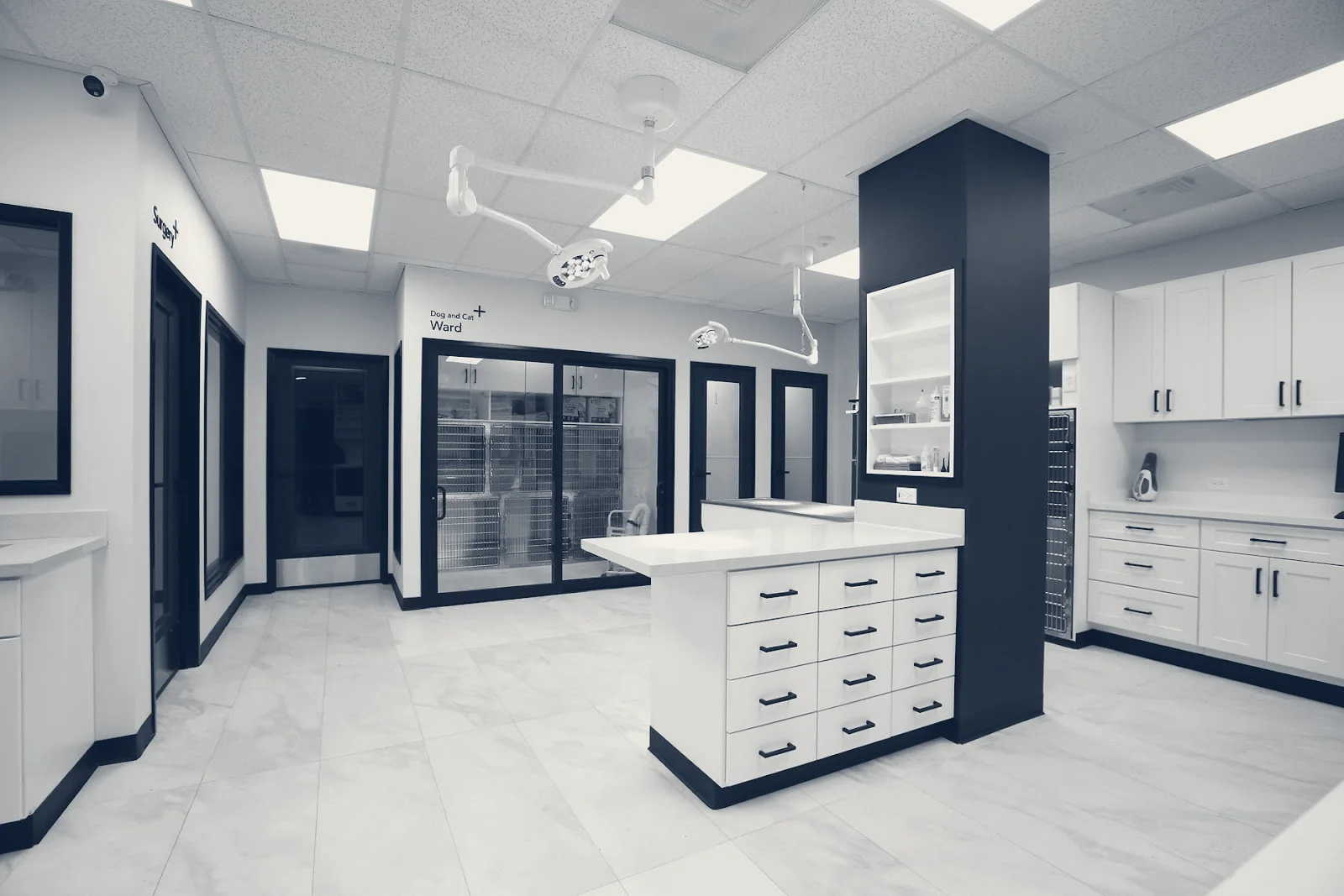 Valley View Animal Hospital — La Palma, California