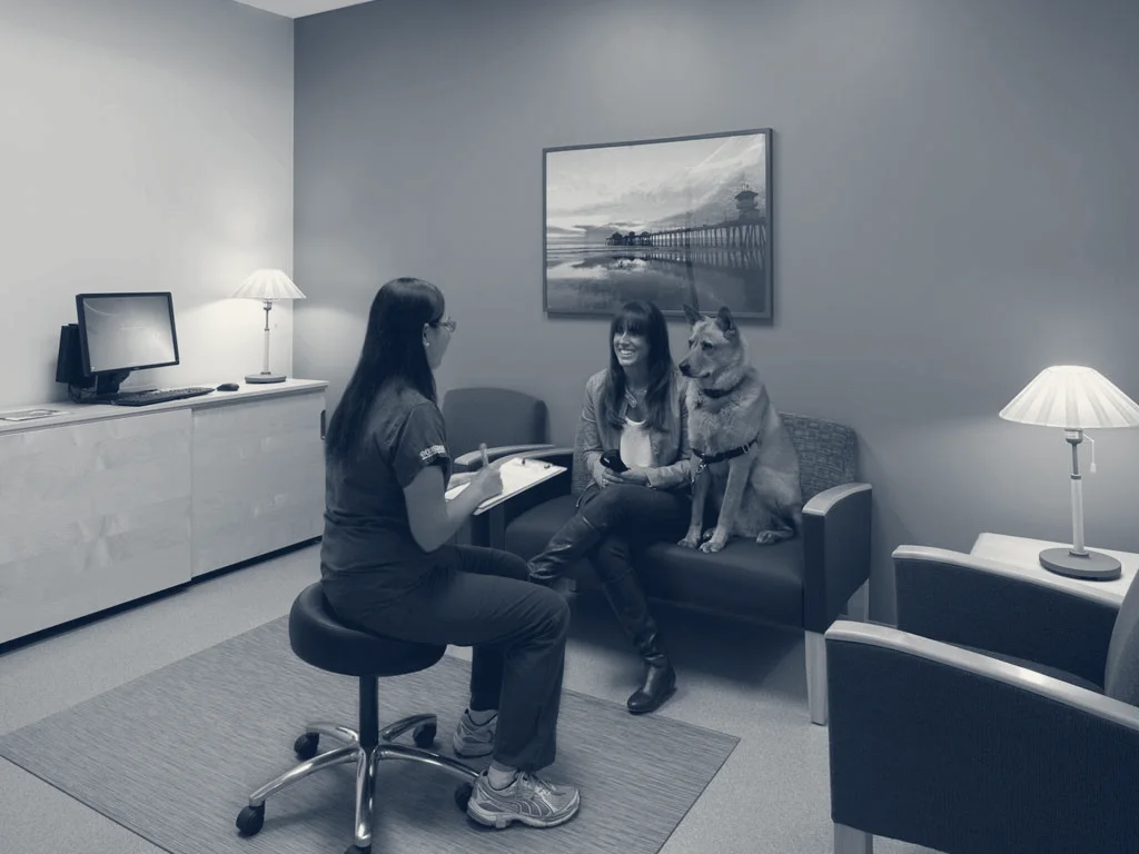 Crossroads Animal Emergency (Norwalk), A Thrive Pet Healthcare Partner — Norwalk, California
