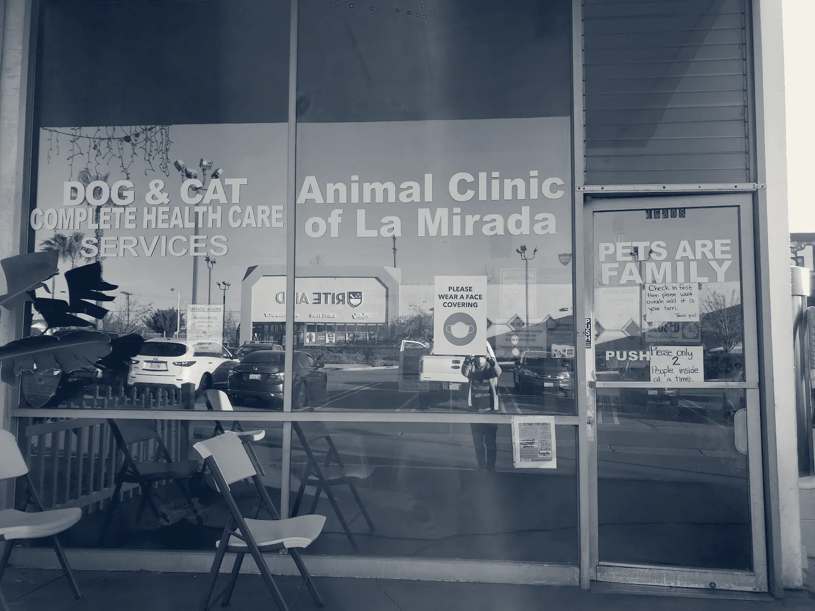 Animal Clinic of La Mirada — La Mirada, California