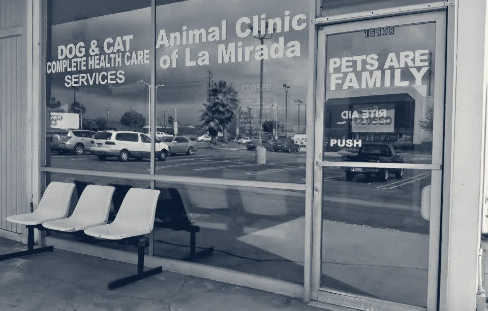 Animal Clinic of La Mirada — La Mirada, California