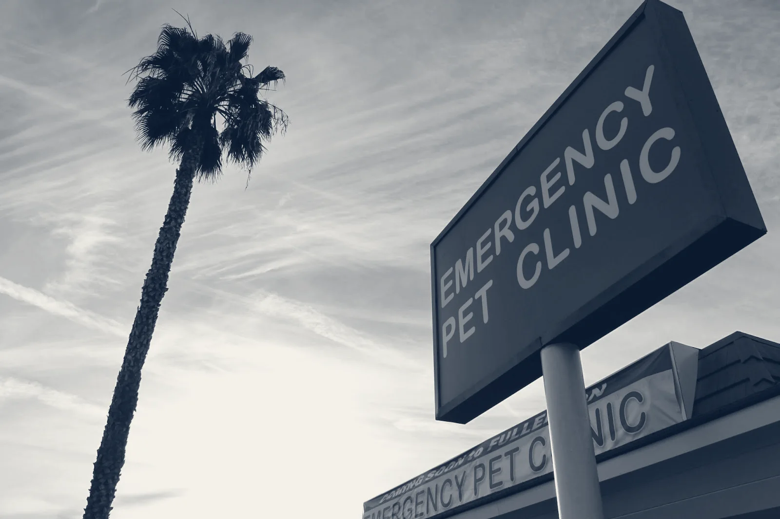 Orange County Emergency Pet Clinic — Fullerton, California