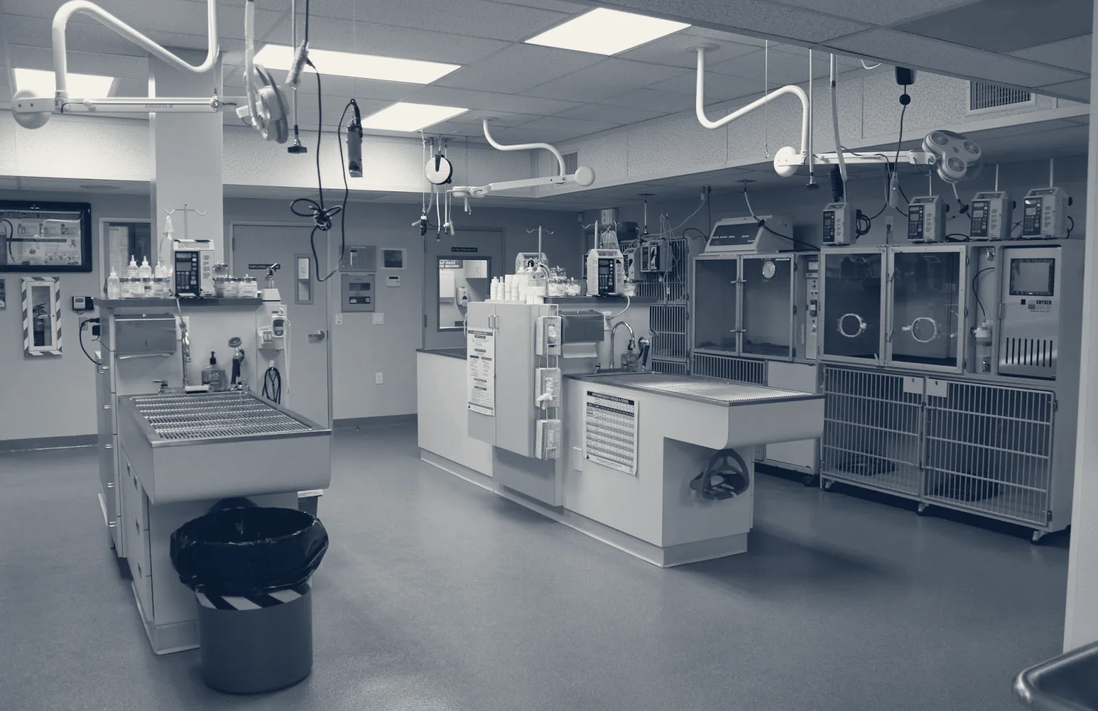 Orange County Emergency Pet Clinic — Fullerton, California