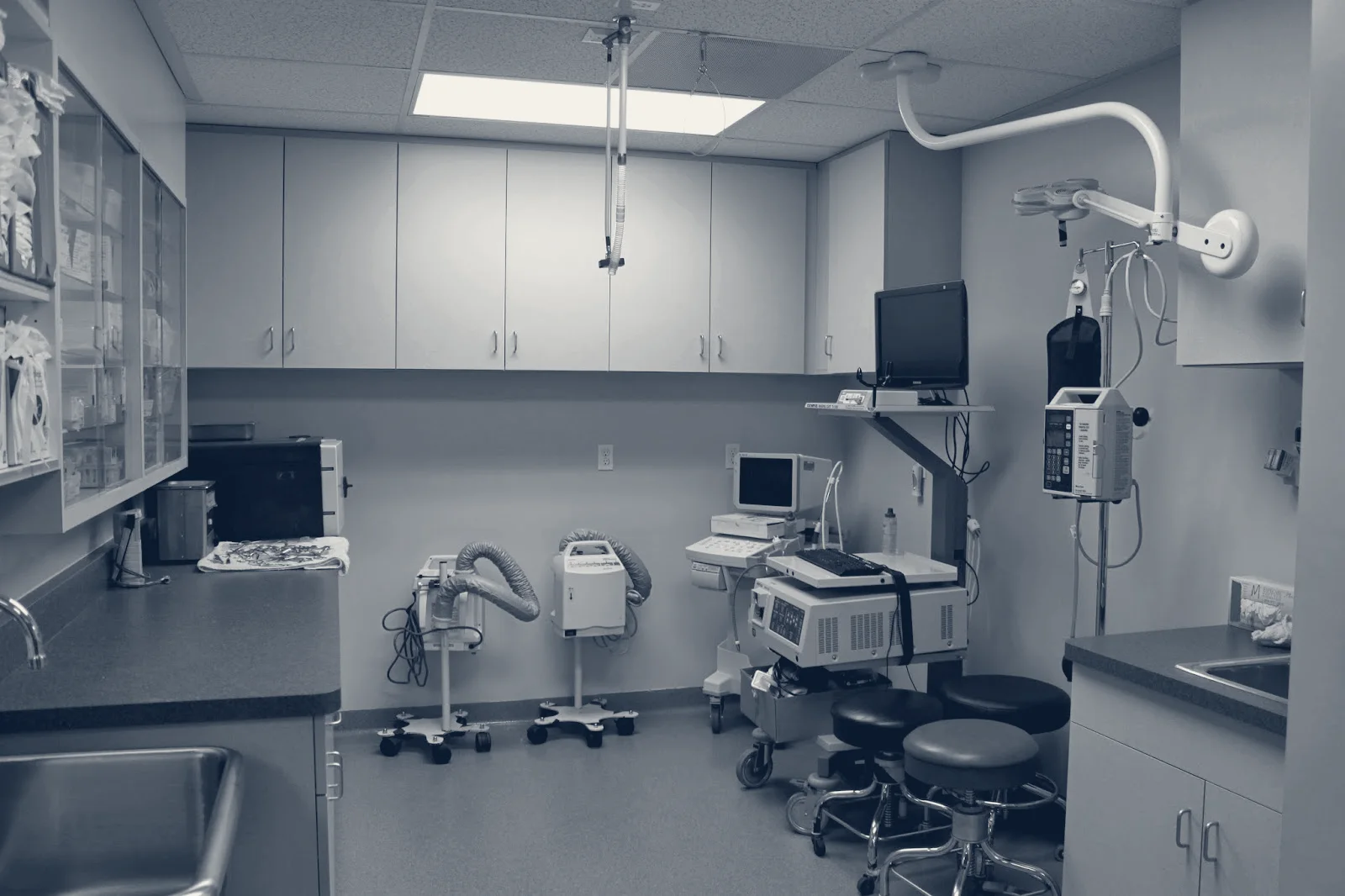 Orange County Emergency Pet Clinic — Fullerton, California