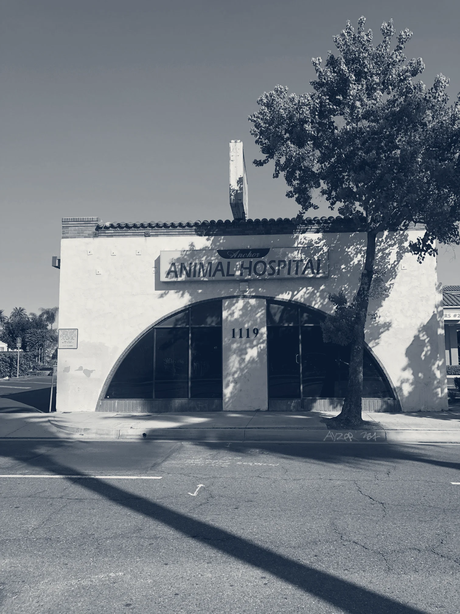 Anchor Animal Hospital — Anaheim, California