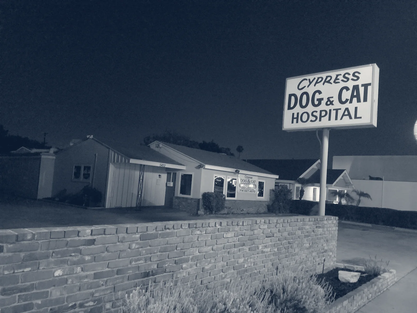 Cypress Dog & Cat Hospital — Cypress, California