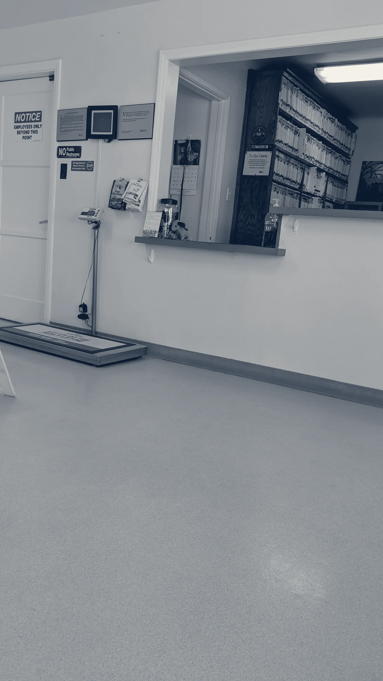 Cypress Dog & Cat Hospital — Cypress, California