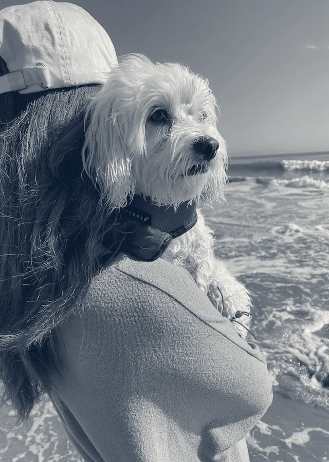 Aspire Veterinary Center — La Palma, California