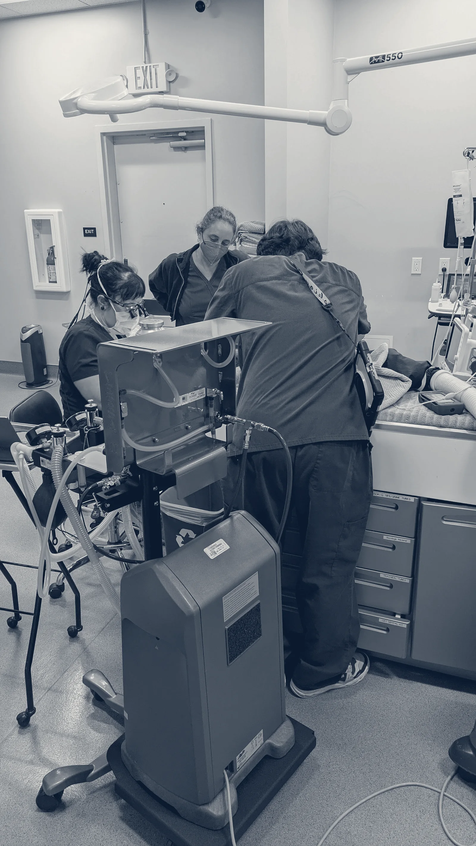 Aspire Veterinary Center — La Palma, California