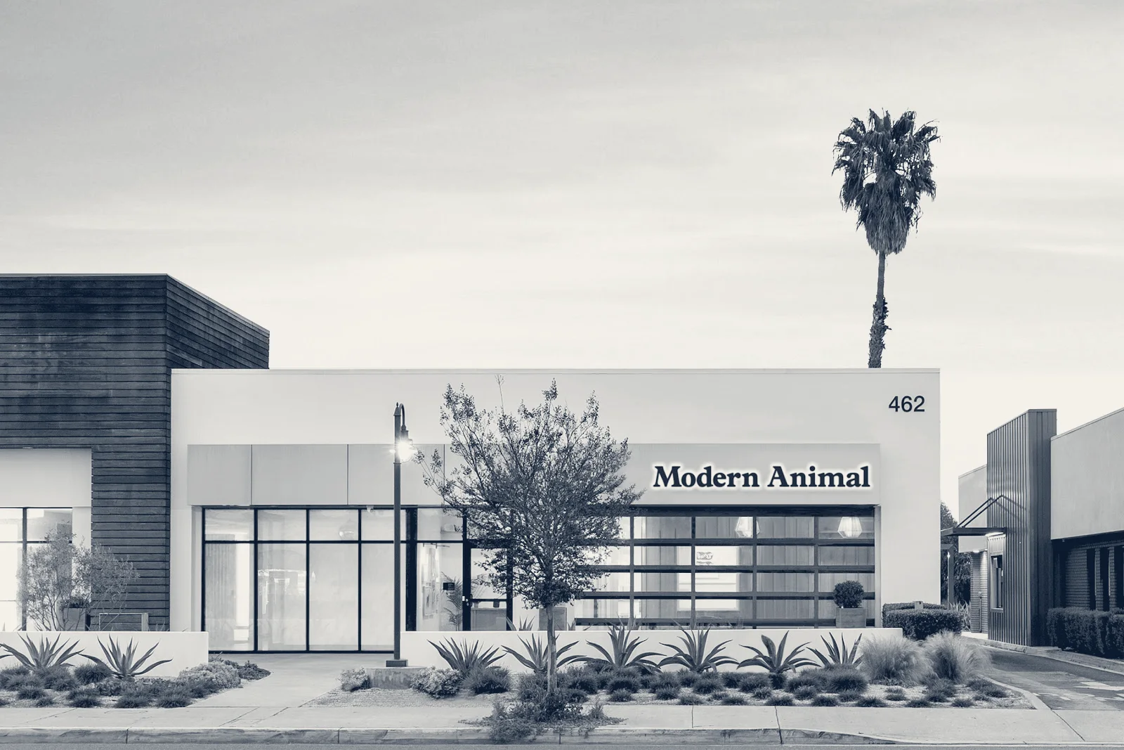 Modern Animal Costa Mesa — Costa Mesa, California
