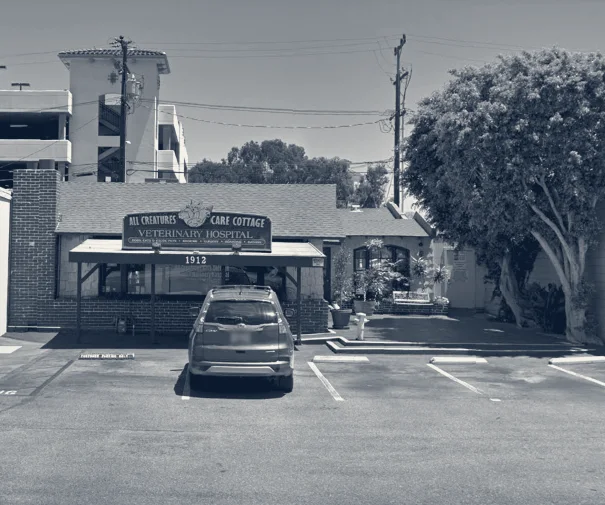 All Creatures Care Cottage — Costa Mesa, California